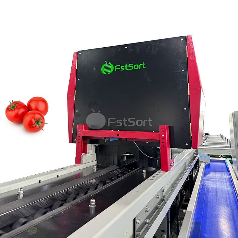 images/1766540240650Zhengzhou-First-Industry-Co-Ltd- (1).jpg